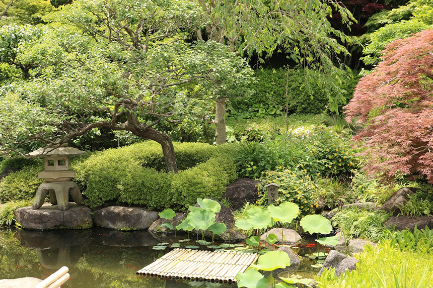 鎌倉・長谷寺の池