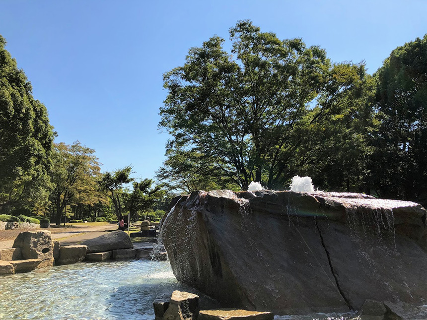 平塚総合公園の池で水遊び