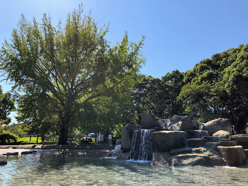 平塚総合公園の池