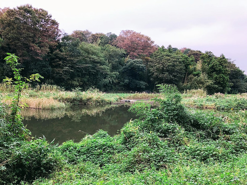 里山の風景