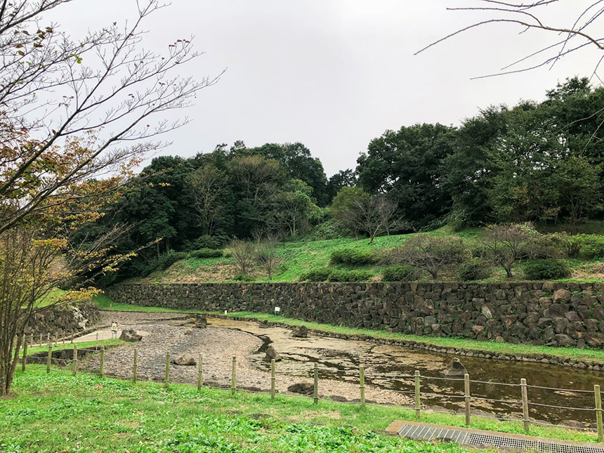 畑の風景