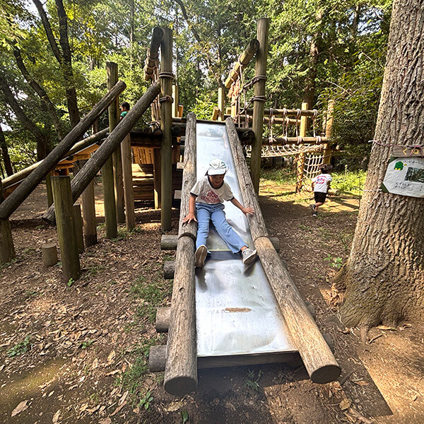 少年の森の滑り台