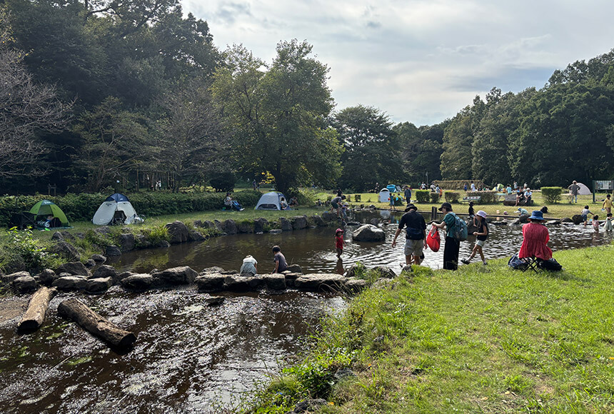 少年の森じゃぶじゃぶ池