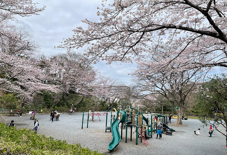 藤沢市の新林公園
