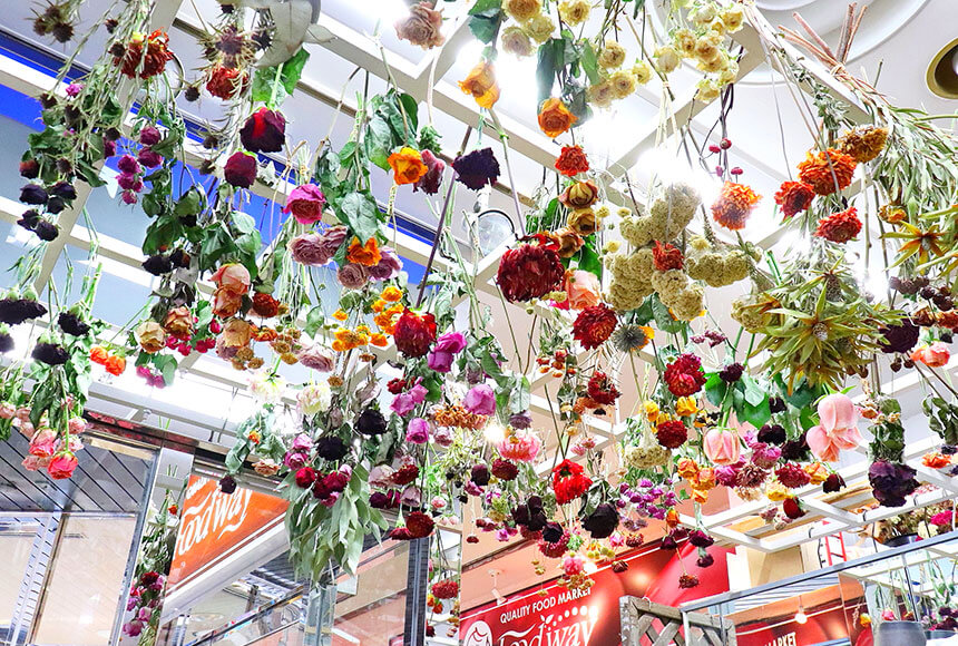 藤沢のお花屋さん「FLORAL WIND'S（フローラルウインズ）」のドライフラワー