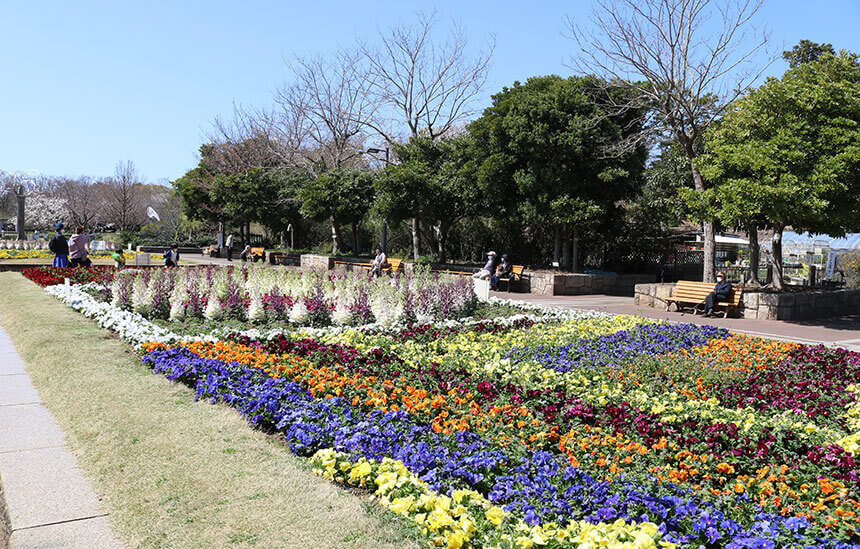 藤沢・長久保公園に咲く四季折々の花