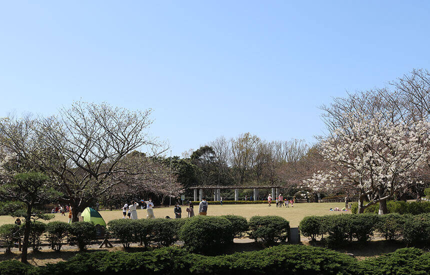 藤沢・長久保公園の芝生の広場