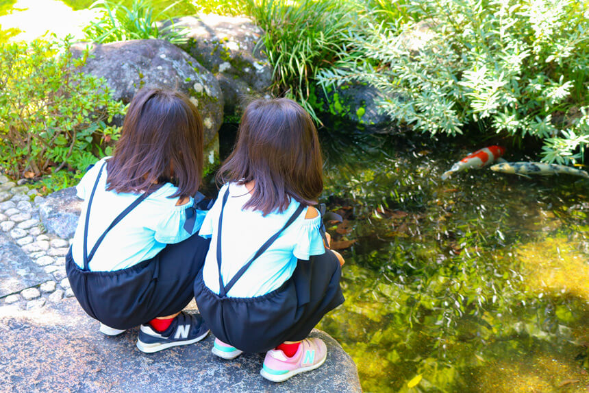 長谷寺境内の池を泳ぐ鯉を眺める双子
