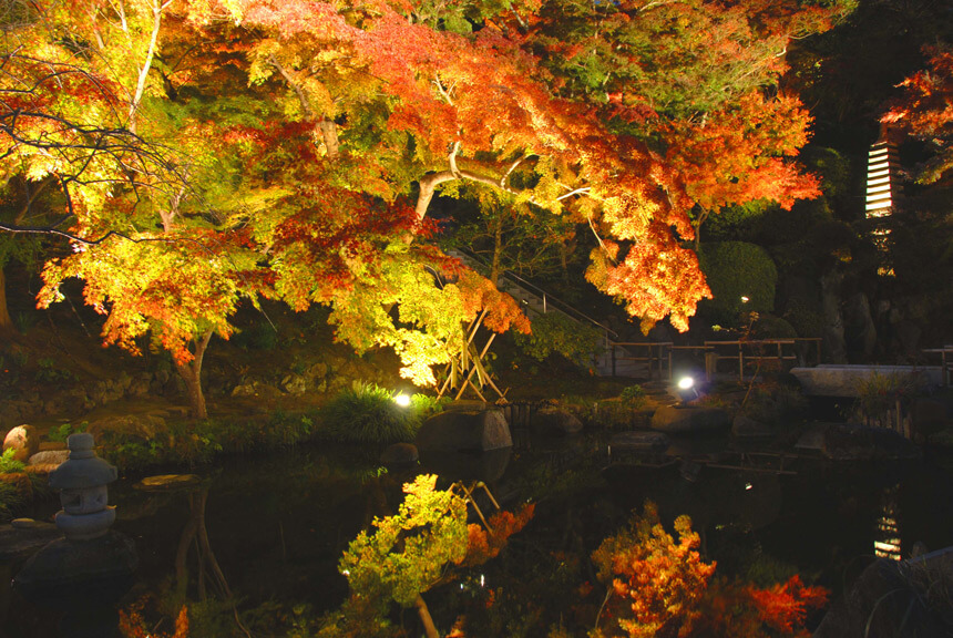 長谷寺の夜の紅葉風景