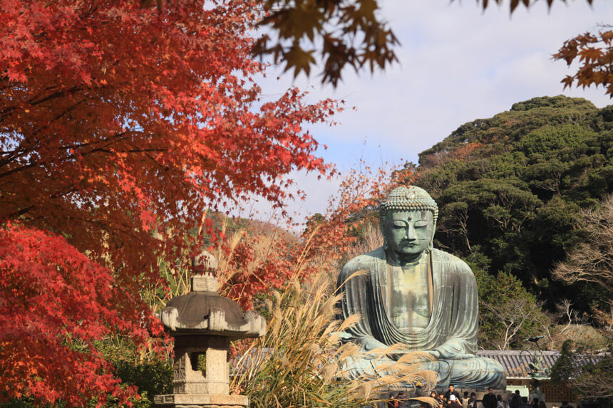 鎌倉大仏の紅葉風景