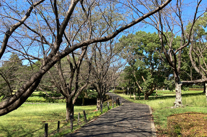 藤沢・大庭城址公園