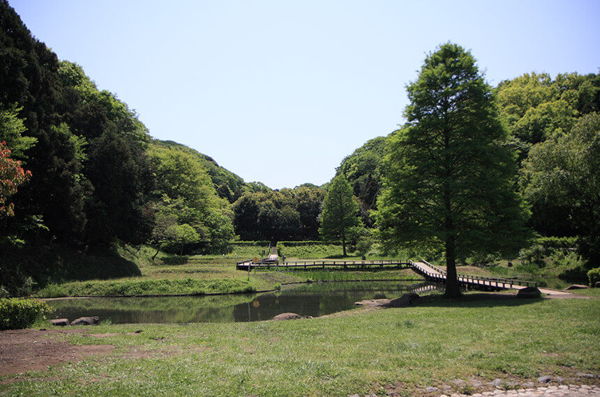 豊かな自然の新林公園