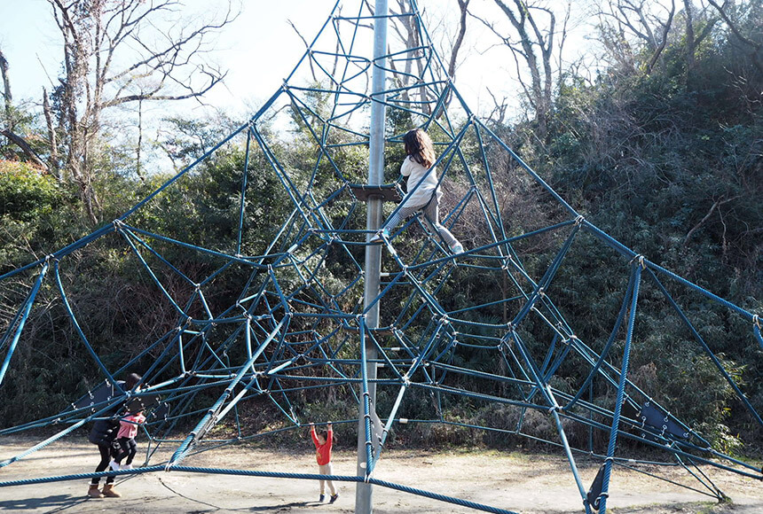 藤沢市新林公園のネットツリー遊具
