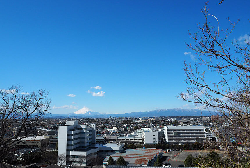 藤沢市新林公園の展望台からの絶景