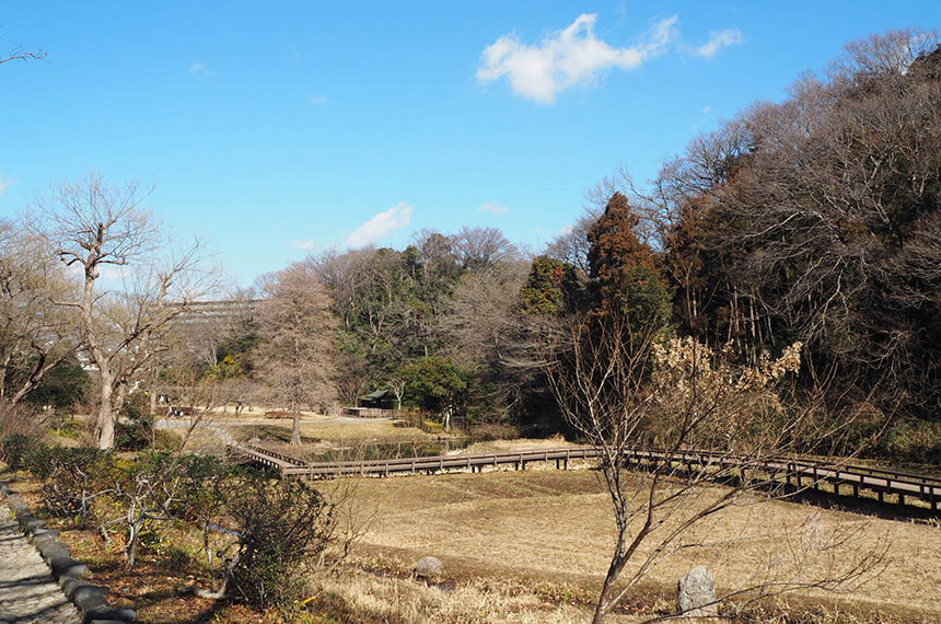 藤沢市新林公園の丘から眺める絶景