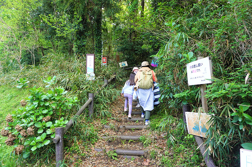 茅ヶ崎・市民の森の階段