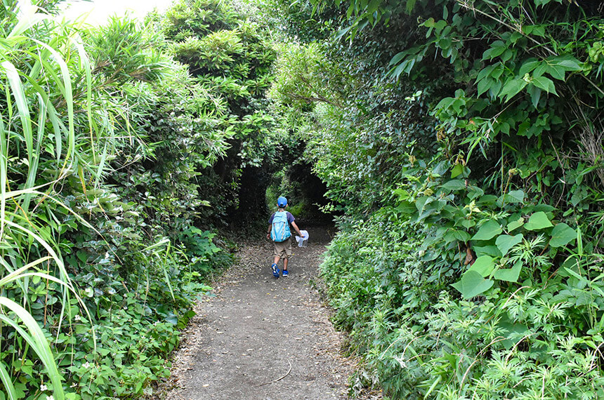 城ヶ島ハイキングコースを歩く子ども