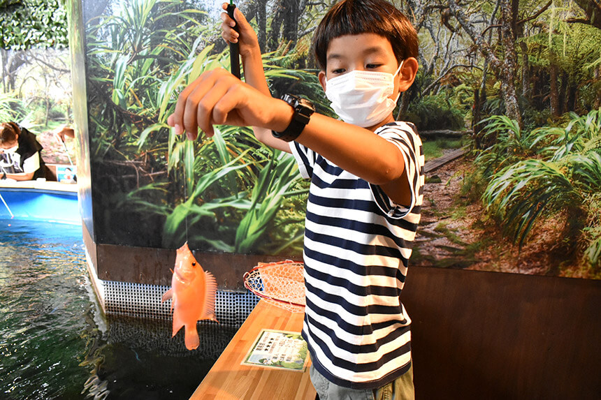 熱帯魚を釣り上げる子ども