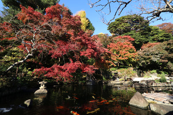 長谷寺の池の紅葉