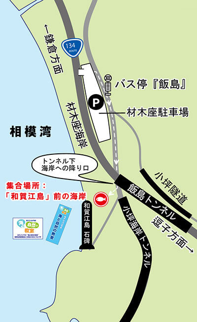 鎌倉『海岸生物観察会』の集合場所マップ