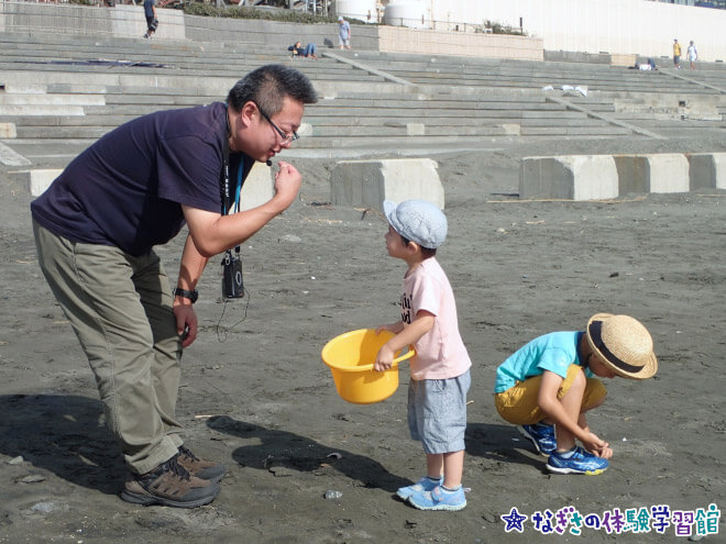 新江ノ島水族館6月イベント・砂浜へでかけよう
