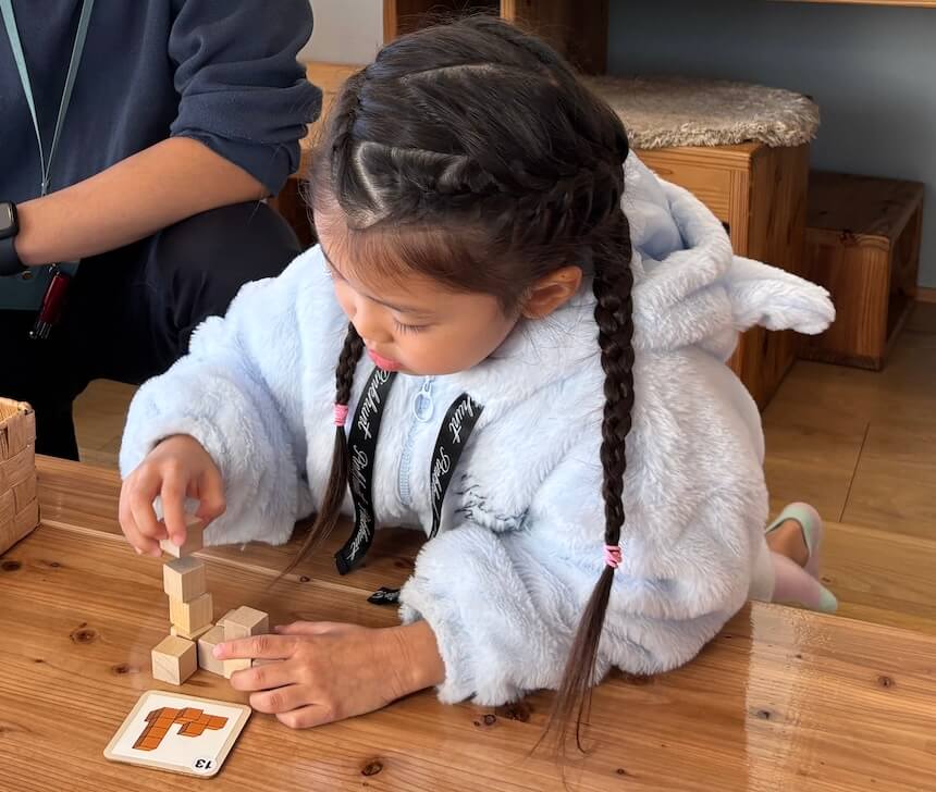 多種多様な平面や立体のパズルを通して図形感覚を養う