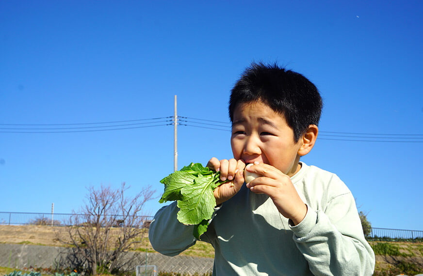 無農薬野菜を食べる子ども