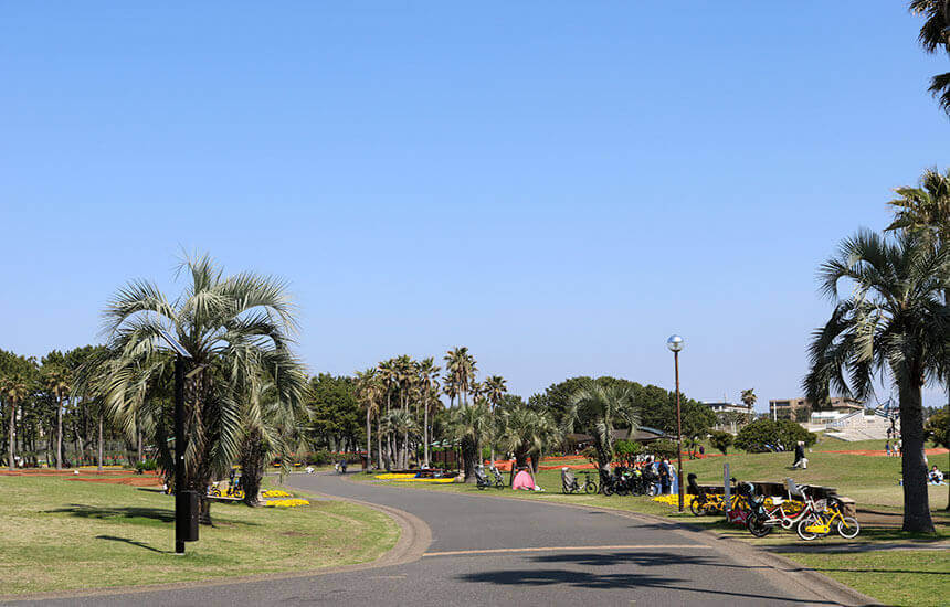 辻堂海浜公園