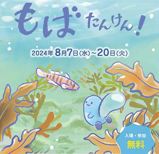 テラスモール湘南イベント・おでかけえのすい