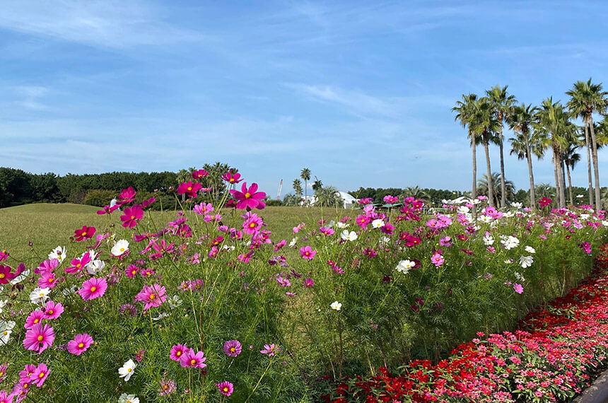 神奈川県立辻堂海浜公園