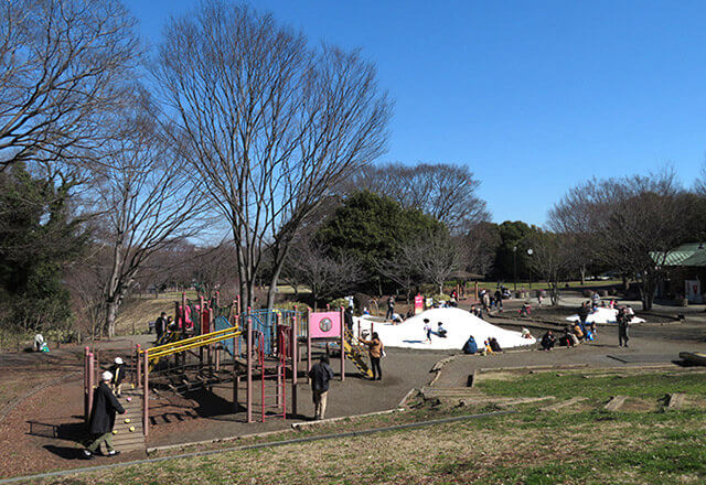 神奈川県立茅ヶ崎里山公園