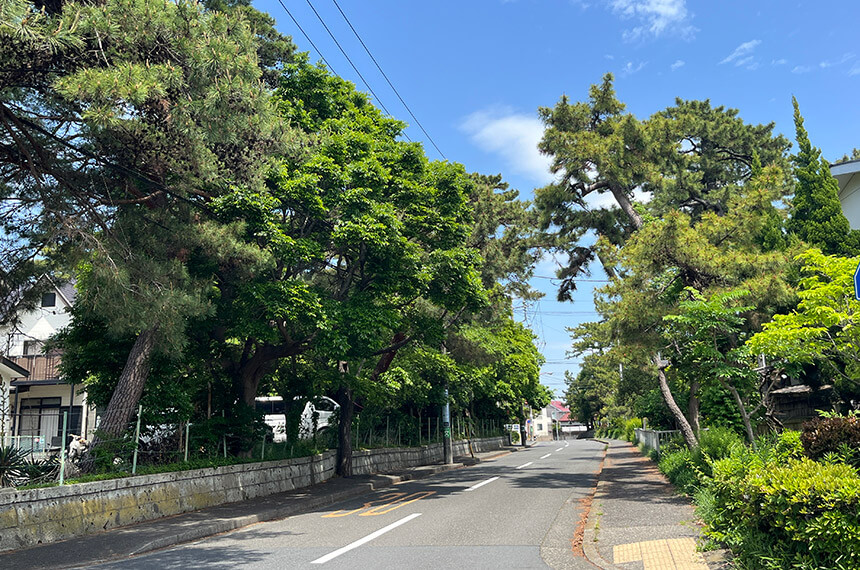 高級住宅街の茅ヶ崎市松が丘