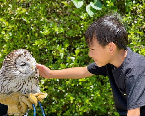 動物と触れ合える屋内型動物園