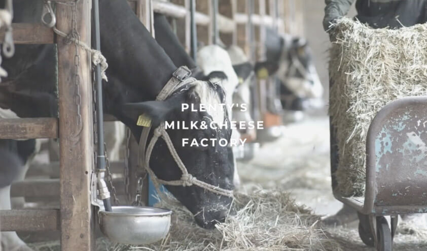 湘南ちがさきMILKで作るプレンティーズのアイスクリーム