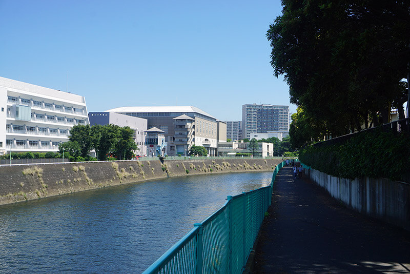 藤沢片瀬パークホームズから藤沢市立新林小学校へ向かう堺川沿いの通学路