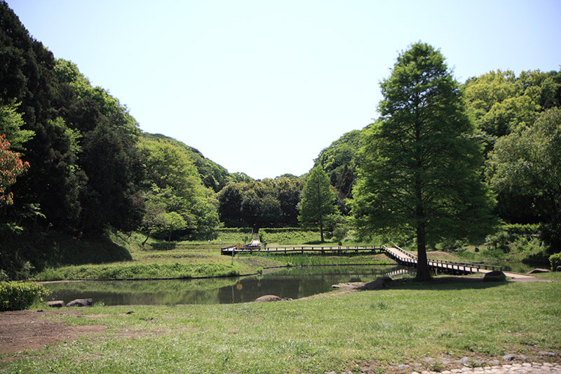 藤沢市新林公園