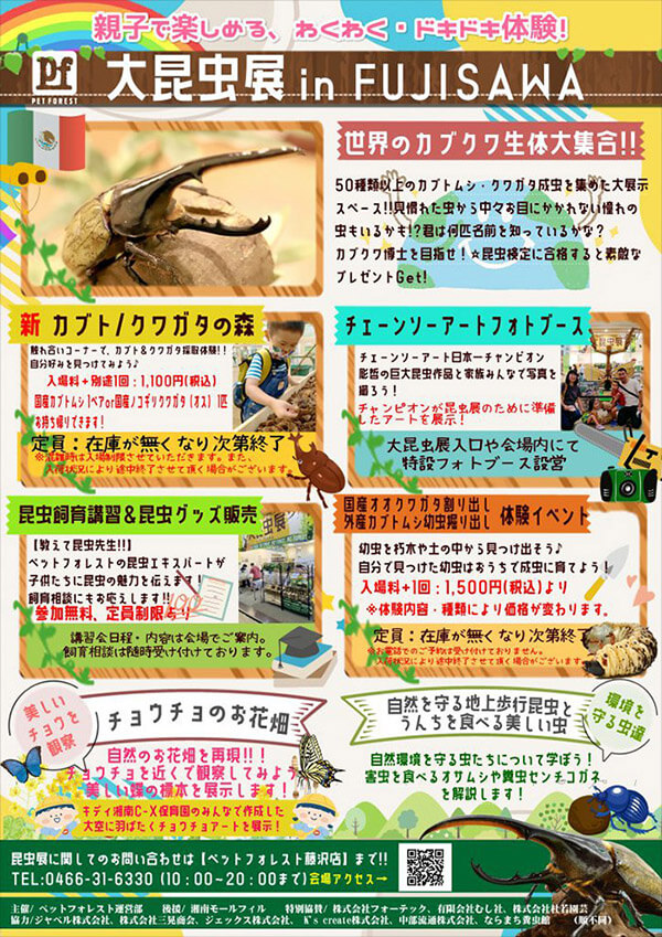 湘南モールフィルイベント・大昆虫展の内容