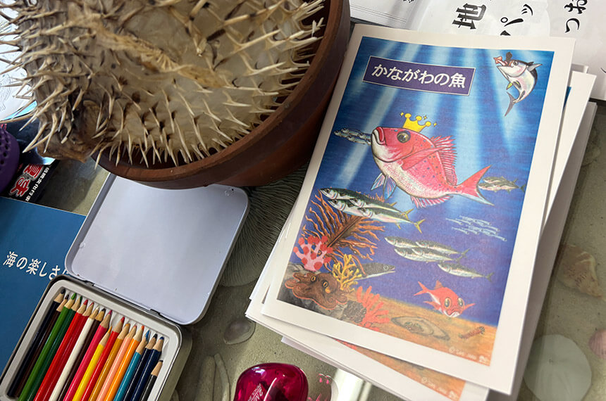 さかなクンが描いたイラストの冊子・かながわの魚
