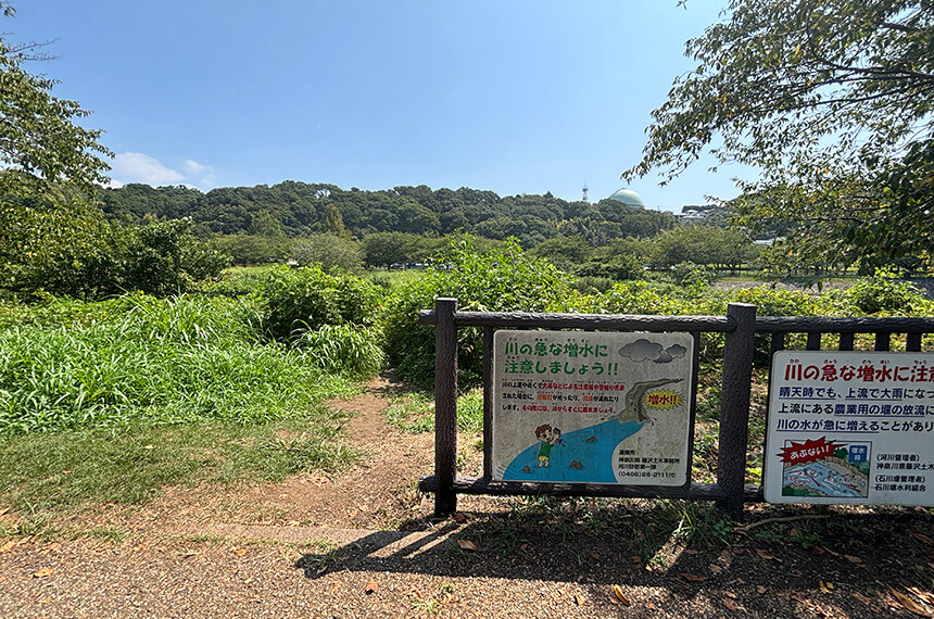 複合遊具から川までの道のり
