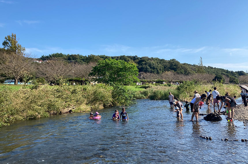 引地川親水公園の川遊び