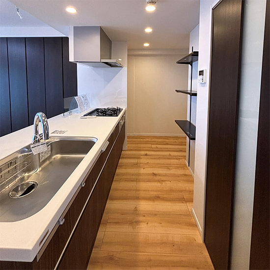 アルス・クリオ藤沢501号室のシステムキッチン