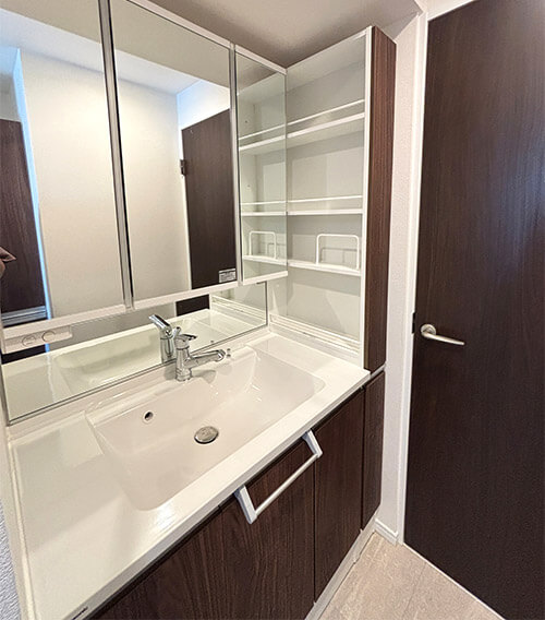 アルス・クリオ藤沢501号室の洗面台