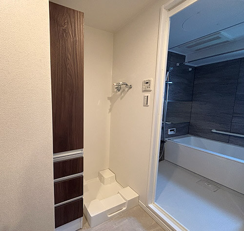 アルス・クリオ藤沢501号室の洗面室の引き出し収納棚