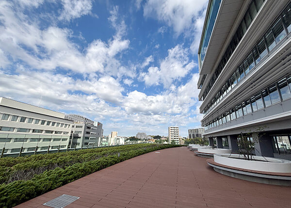 藤沢市役所の屋上庭園