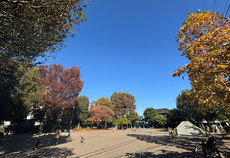 ふじ公園