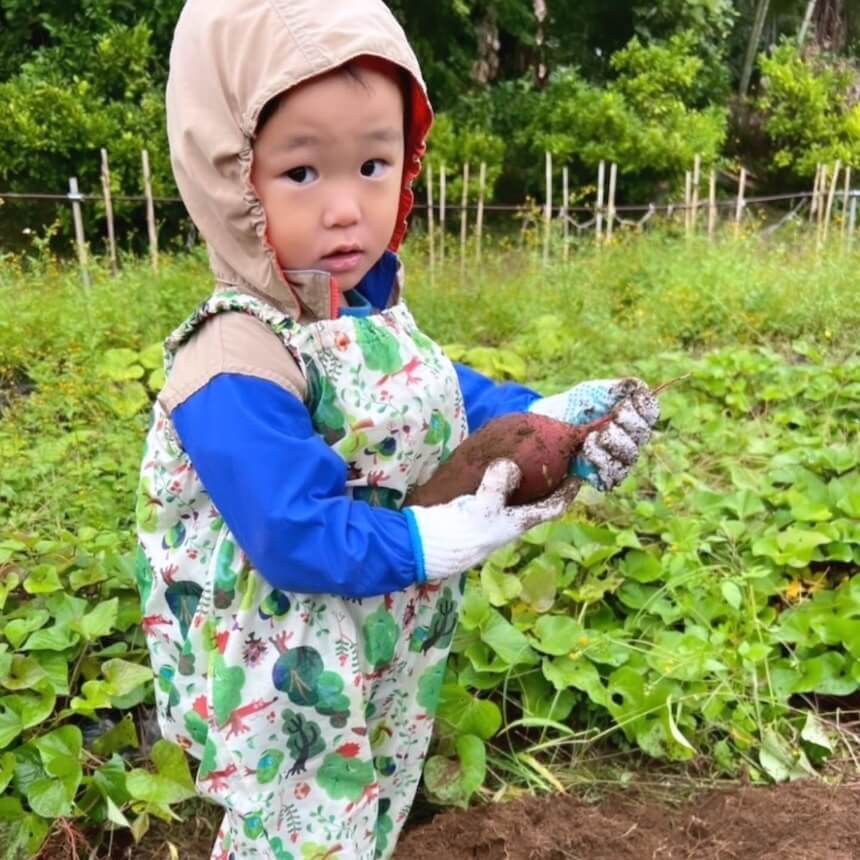 横浜の「かねこふぁ〜む」さんでお芋ほり