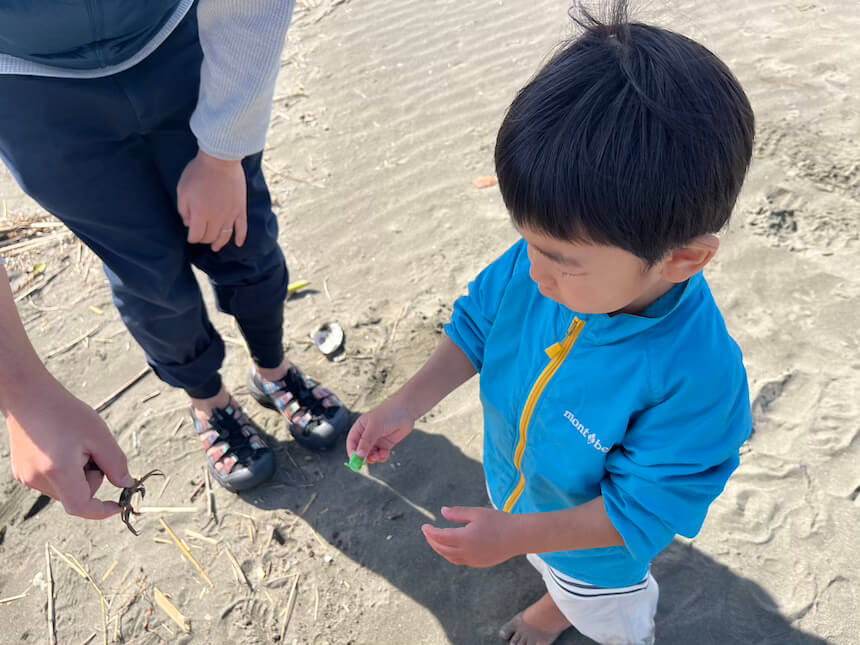 パパと一緒にカニを見つけて大喜び！触れるかな？